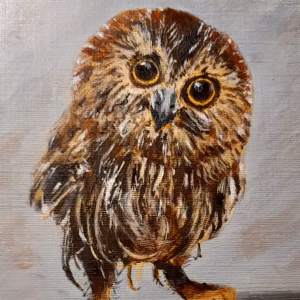 A baby owl painted in acrylic, brown and cream feathers with large amber eyes
